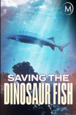 Watch Saving the Dinosaur Fish M4ufreemovies
