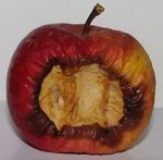Watch Bad Apples (Short 2006) M4ufreemovies