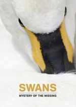 Watch Swans: Mystery of the Missing M4ufreemovies