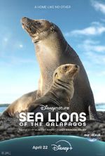 Watch Sea Lions of the Galapagos (TV Special 2025) M4ufreemovies