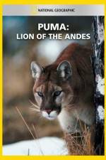 Watch National Geographic Puma: Lion of the Andes M4ufreemovies