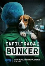 Watch Infiltrada en el búnker M4ufreemovies