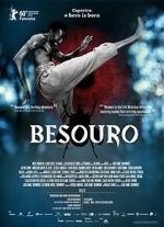 Watch The Assailant M4ufreemovies