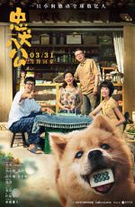 Watch Hachiko M4ufreemovies