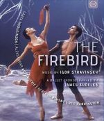 Watch The Firebird M4ufreemovies