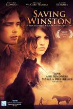 Watch Saving Winston M4ufreemovies