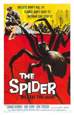 Watch The Spider M4ufreemovies
