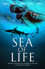 Watch Sea of Life M4ufreemovies