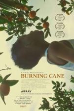 Watch Burning Cane M4ufreemovies