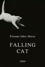 Watch Falling Cat M4ufreemovies