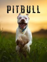 Watch Pitbull M4ufreemovies