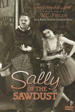 Watch Sally of the Sawdust M4ufreemovies