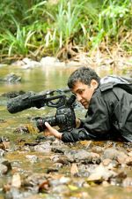 Watch The Secret Life of Frogs M4ufreemovies