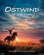 Watch Windstorm: The Great Hurricane M4ufreemovies