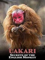 Watch Uakari: Secrets of the English Monkey M4ufreemovies