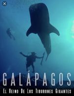 Watch Galapagos: Realm of Giant Sharks M4ufreemovies
