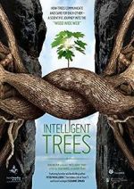 Watch Intelligent Trees M4ufreemovies
