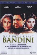 Watch Wait Until Spring, Bandini M4ufreemovies