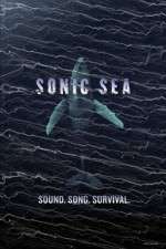 Watch Sonic Sea M4ufreemovies