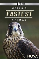 Watch World\'s Fastest Animal M4ufreemovies