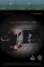 Watch A Vida Invisível M4ufreemovies