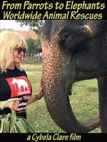Watch From Parrots to Elephants: Worldwide Animal Rescues M4ufreemovies