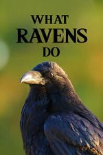 Watch What Ravens Do M4ufreemovies
