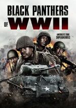 Watch Black Panthers of WWII M4ufreemovies
