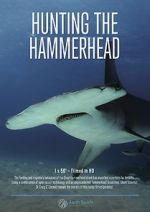 Watch Hunting the Hammerhead M4ufreemovies