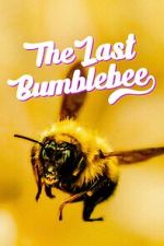 Watch The Last Bumblebee M4ufreemovies