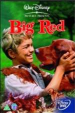 Watch Big Red M4ufreemovies