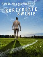 Watch Flying Pigs M4ufreemovies