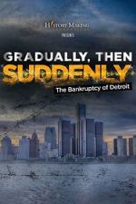 Watch Gradually, Then Suddenly: The Bankruptcy of Detroit M4ufreemovies