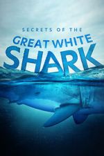 Watch Secrets of the Great White Shark M4ufreemovies