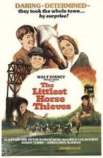 Watch The Littlest Horse Thieves M4ufreemovies