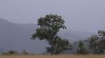 Watch The Prison in Twelve Landscapes M4ufreemovies