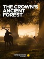 Watch The Crown\'s Ancient Forest M4ufreemovies