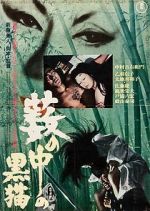 Watch Black Cat M4ufreemovies