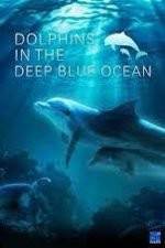 Watch Dolphins in the Deep Blue Ocean M4ufreemovies