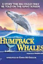 Watch Humpback Whales M4ufreemovies