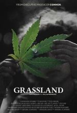 Watch Grassland M4ufreemovies