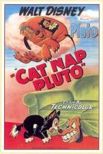 Watch Cat Nap Pluto M4ufreemovies