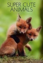 Watch Super Cute Animals M4ufreemovies