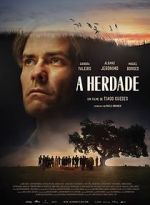 Watch The Domain M4ufreemovies