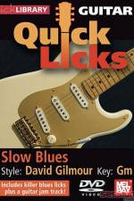 Watch Lick Library Quick Licks David Gilmour M4ufreemovies