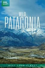 Watch Wild Patagonia M4ufreemovies