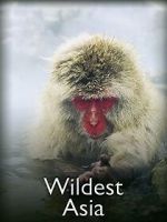 Watch Wildest Asia M4ufreemovies