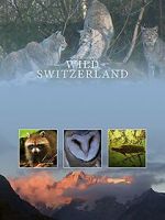 Watch Wilde Schweiz M4ufreemovies