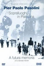 Watch A futura memoria: Pier Paolo Pasolini M4ufreemovies